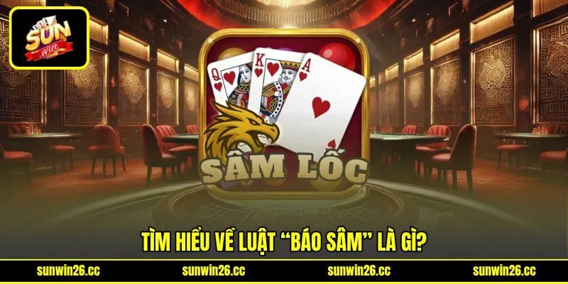 Tìm hiểu về luật “Báo Sâm” là gì? Tìm hiểu về luật “Báo Sâm” là gì?